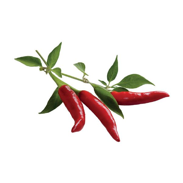 chilli papričky